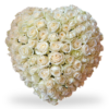 Cuore di 100 rose bianch