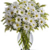 bouquet di margherite bianche