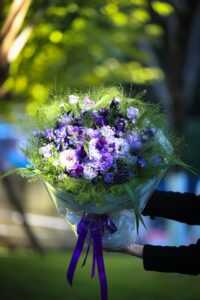 piante d'autunno per defunti