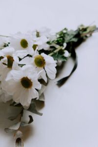 Fascio di fiori, corona funebre o cuscino