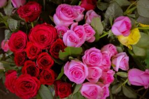 fiori di condoglianze