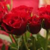 cuore di rose rosse funebre