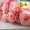 fiori per funerale a domicilio